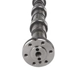 Iveco 6.7 Camshaft