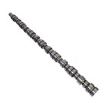 Cummins NT855 Camshaft