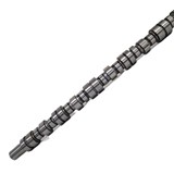 Cummins NT855 Camshaft