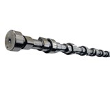 Weichai Euro III Camshaft