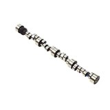 Sinotruk WD618 Camshaft