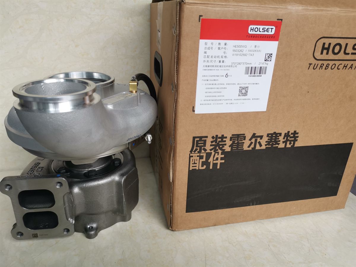 Cummins Turbocharger 5503263 D5010224615